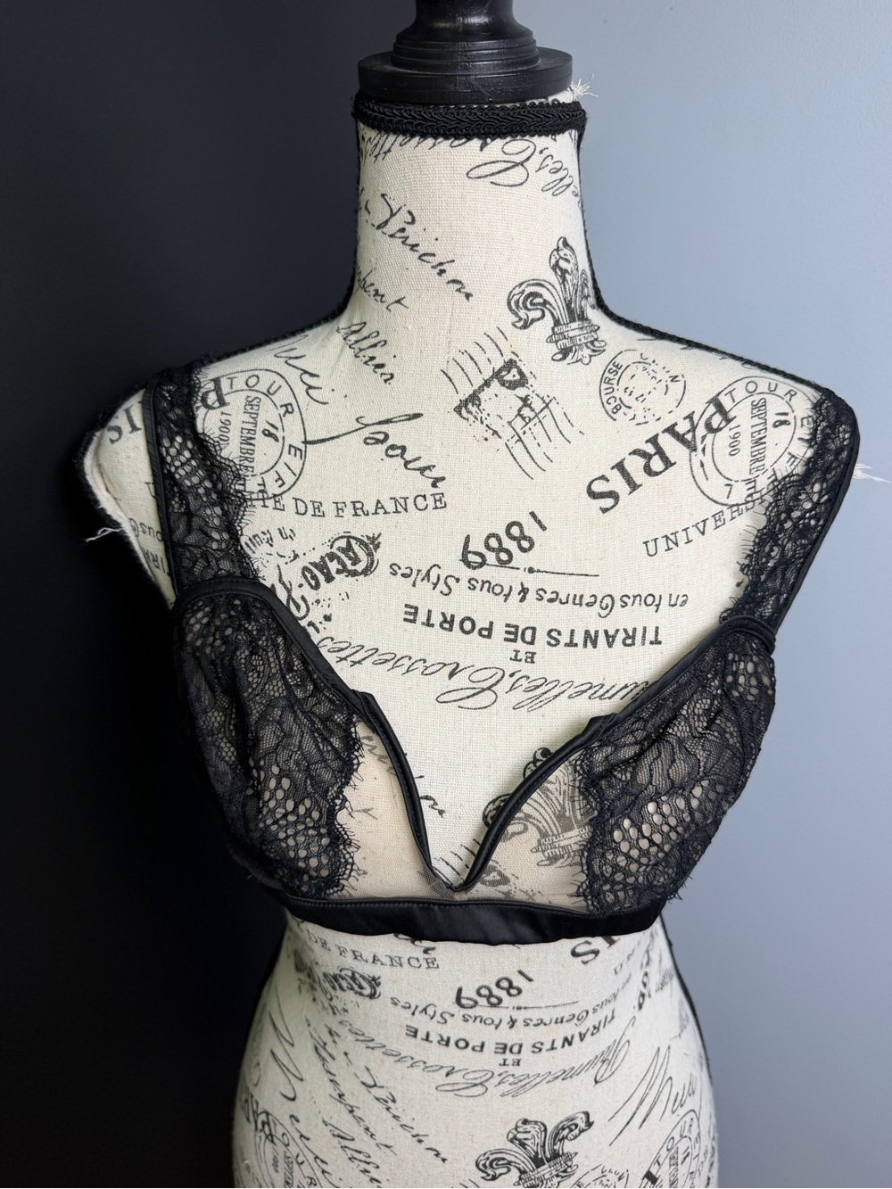 Thistle and Spire Lace Bra NWT Size XL/1X